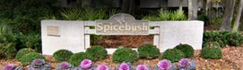 Heritage Vacations of Hilton Head Spicebush