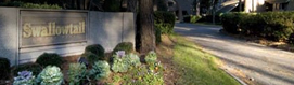Heritage Vacations of Hilton Head Swallowtail